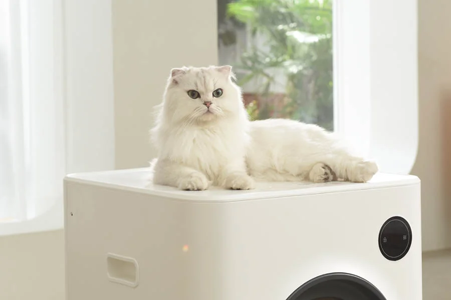 self cleaning cat litter box