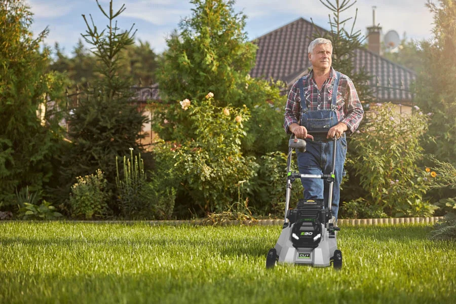 top rated lawn mowers